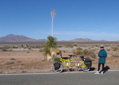 Terry, a break, and a tall Yucca Plant.